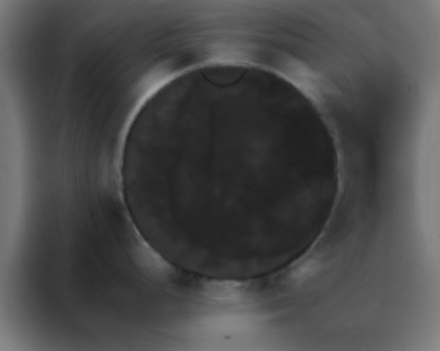 X0000088201248200705221716