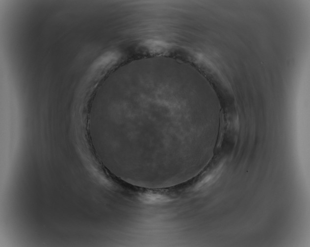 X0000088201249200705221716