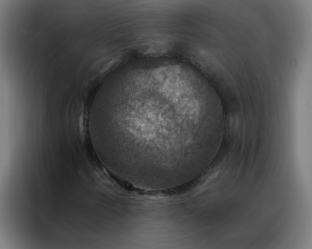X0000088201250200705221716