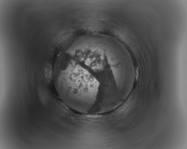 X0000088201251200705221716