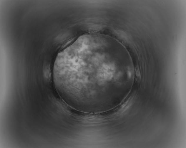 X0000088201252200705221716