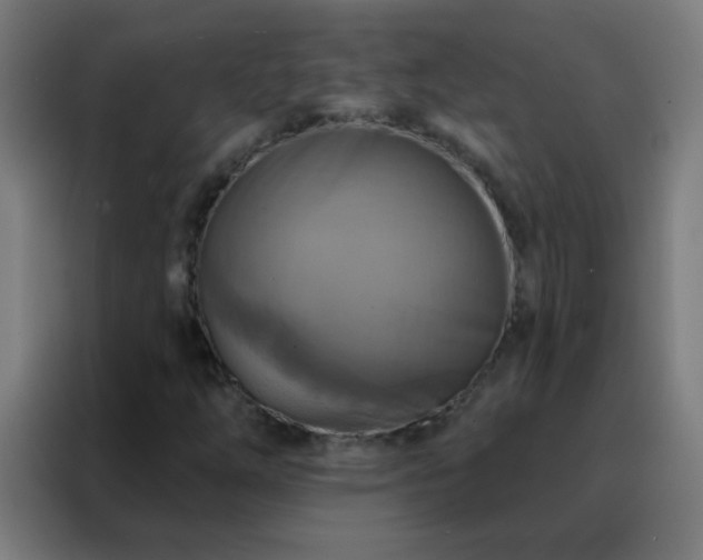 X0000088201254200705221716