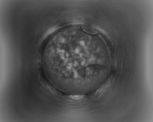 X0000088201255200705221716