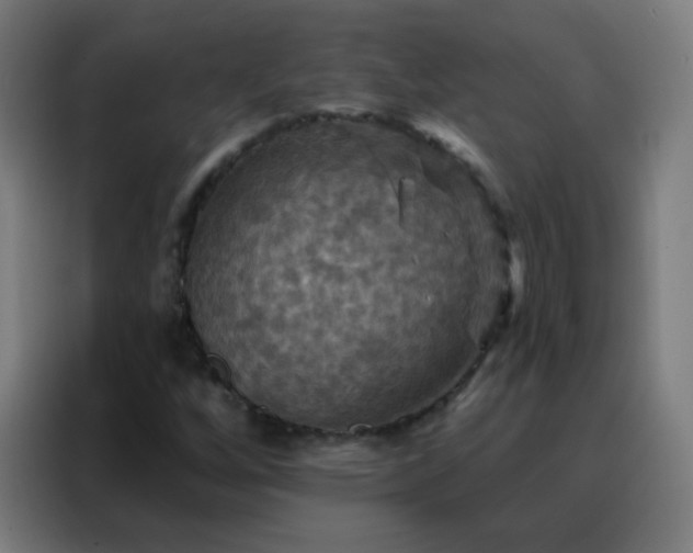 X0000088201256200705221716