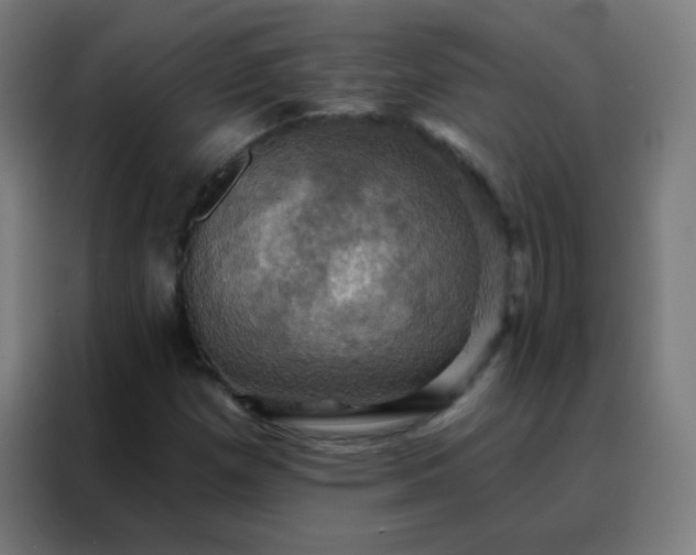 X0000088201257200705221716