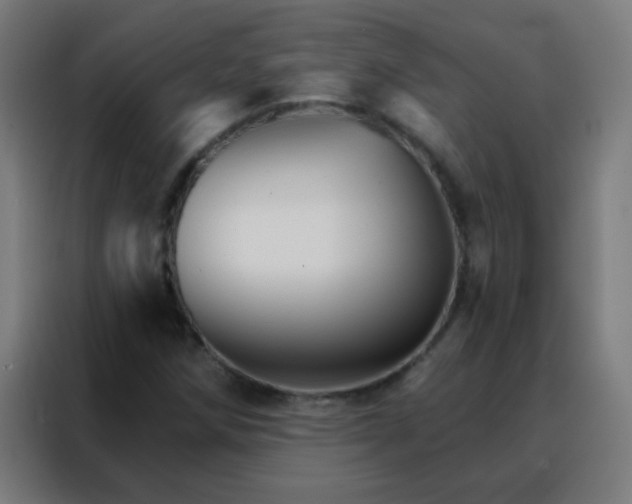 X0000088201258200705221715