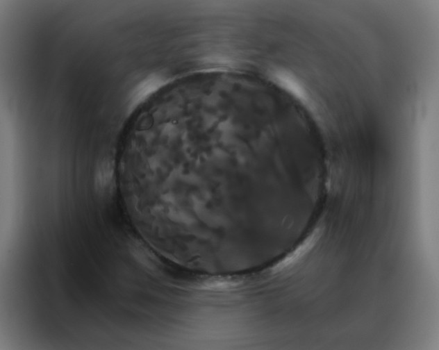 X0000088201259200705221715