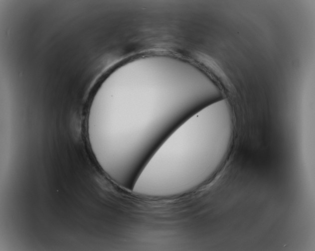 X0000088201260200705221715