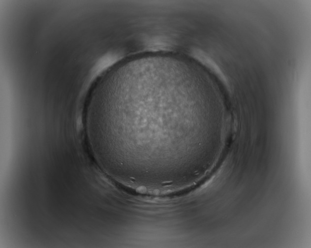 X0000088201261200705221715