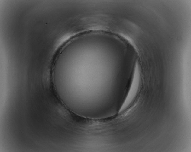 X0000088201263200705221715
