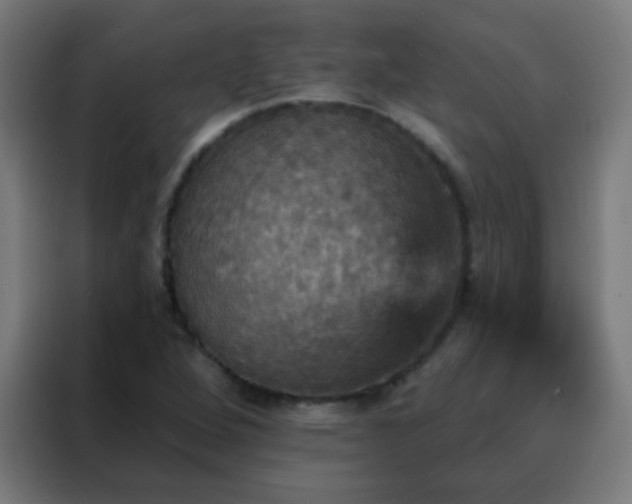 X0000088201264200705221715