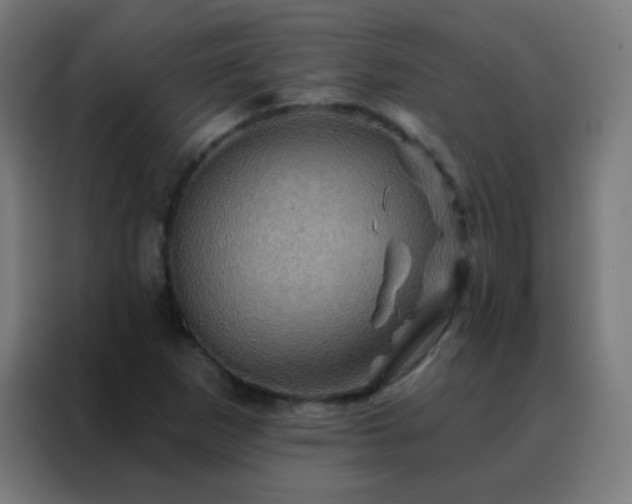 X0000088201265200705221715
