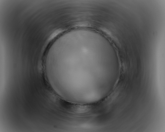 X0000088201266200705221715
