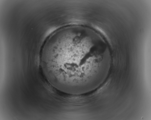 X0000088201267200705221715