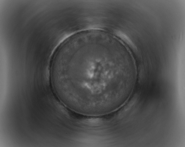 X0000088201268200705221715