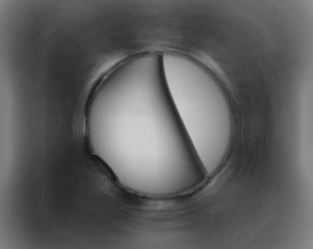 X0000088201269200705221715