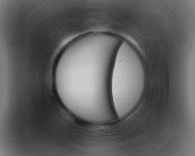 X0000088201270200705221715