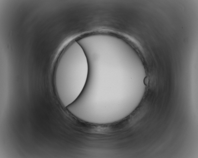 X0000088201271200705221715