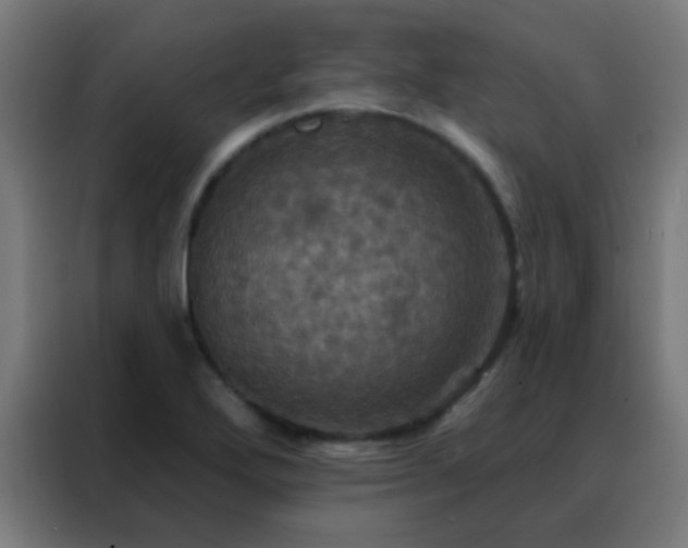 X0000088201272200705221715