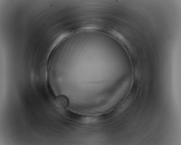 X0000088201274200705221715