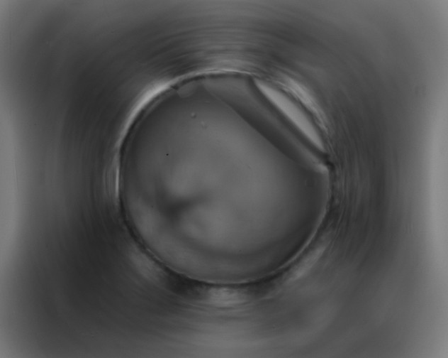 X0000088201275200705221715