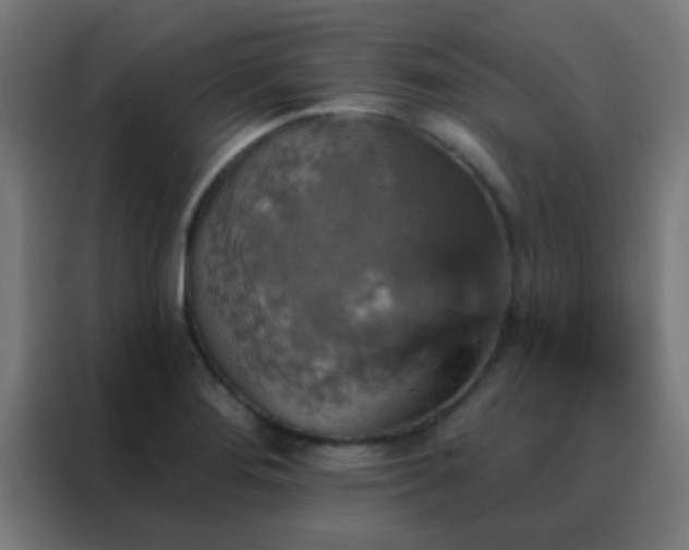 X0000088201276200705221715