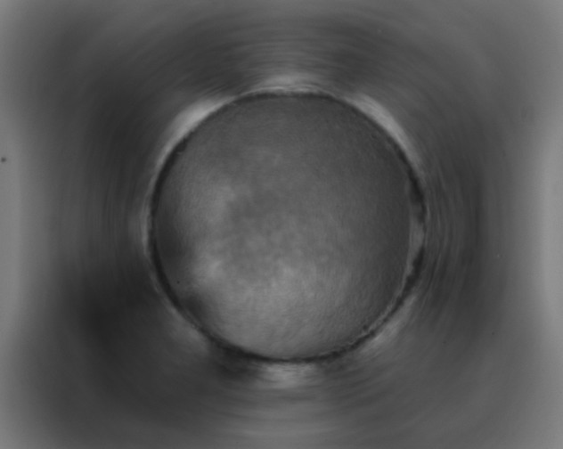 X0000088201277200705221715