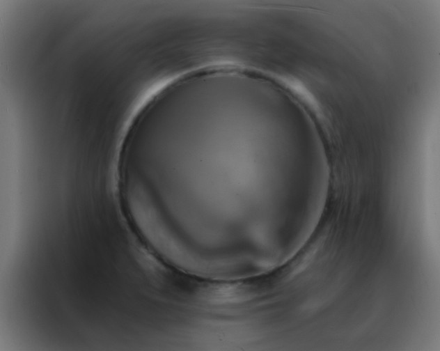 X0000088201279200705221715