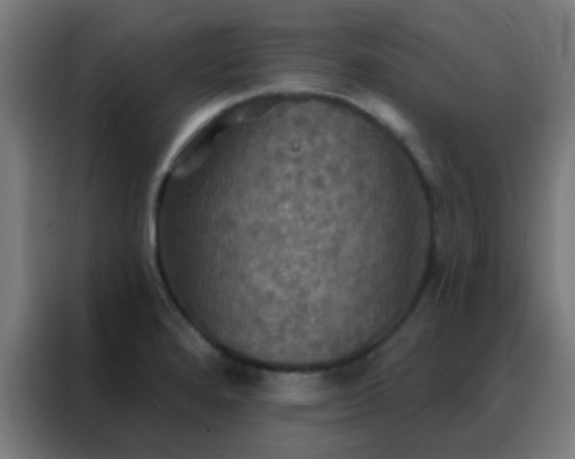 X0000088201280200705221715