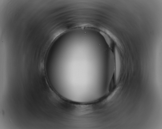 X0000088201281200705221715