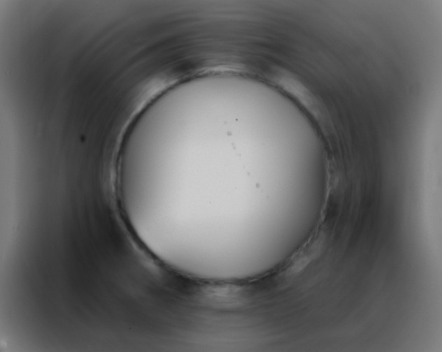 X0000088201282200705221715