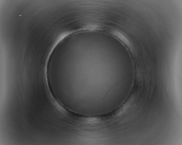 X0000088201283200705221715
