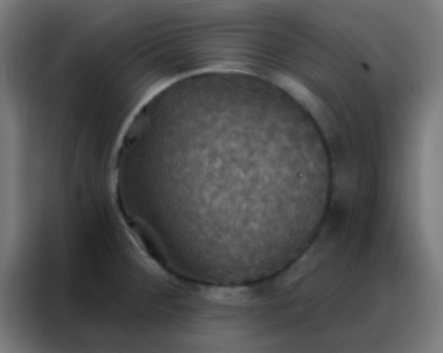 X0000088201284200705221715