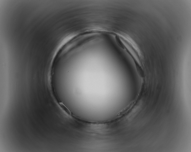 X0000088201285200705221715