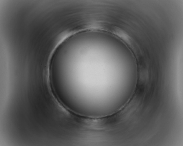 X0000088201286200705221715