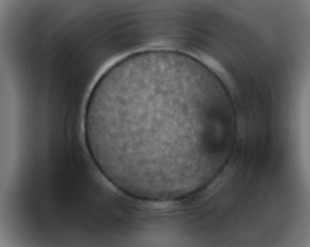 X0000088201288200705221715