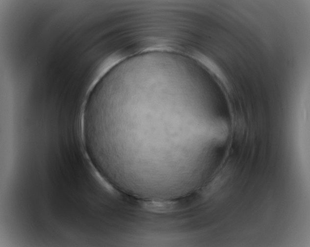 X0000088201290200705221715