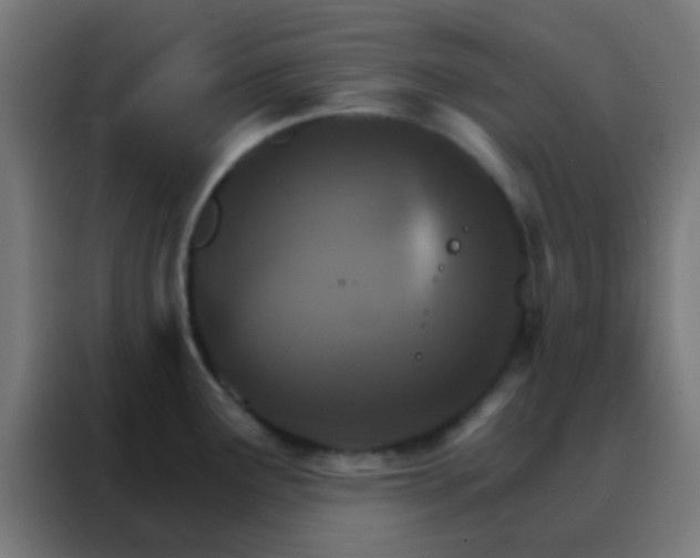X0000088201291200705221715