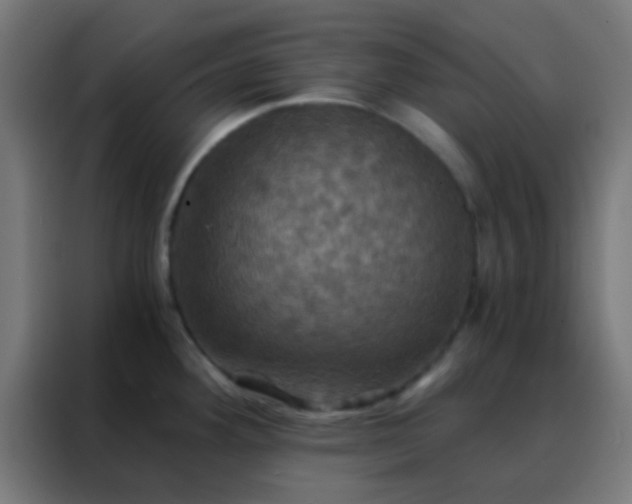 X0000088201292200705221715