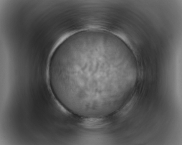 X0000088201294200705221715