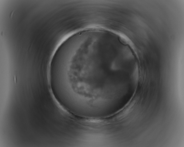 X0000088201295200705221715
