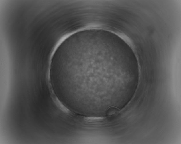 X0000088201296200705221715