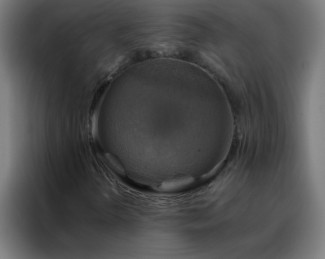 X0000088201298200705221714