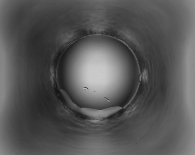 X0000088201299200705221714