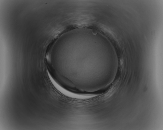 X0000088201300200705221714