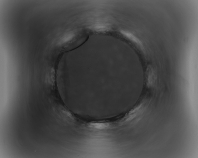 X0000088201301200705221714