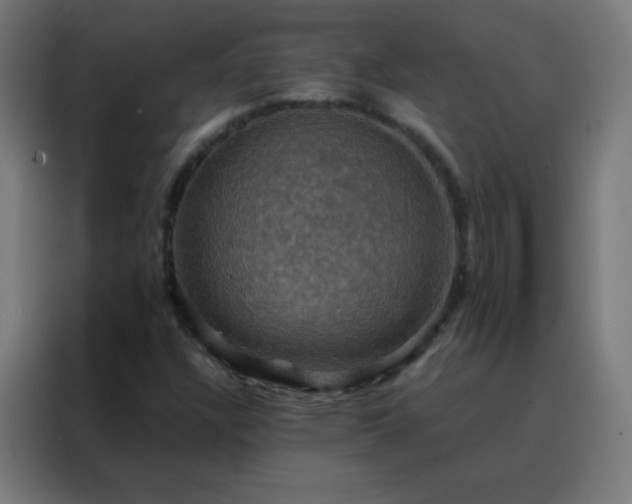 X0000088201304200705221714