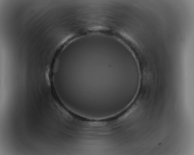 X0000088201305200705221714