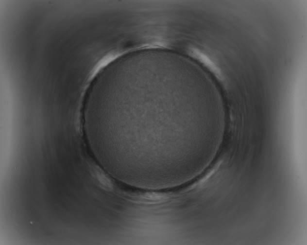 X0000088201308200705221715