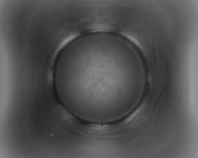 X0000088201309200705221715